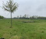 Fieldvisit 15th may 2021, credit Antal Zuurman