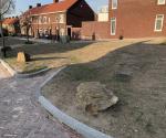 Climate adaptation - rainwater nuissance - Ahornstraat (2019)