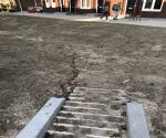 Climate adaptation - rainwater nuissance - Ahornstraat (2019)