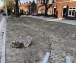 Climate adaptation - rainwater nuissance - Ahornstraat (2019)