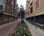 Straatbeeld