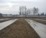 Field visit dec 2009 - high water Waal - just after reconstruction - Credit by Antal zuurman