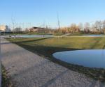 Fieldvsit jan 2011 - high water Waal (T=10) - credit by Antal Zuurman