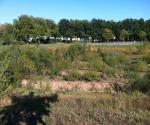Fieldvisit sept 2013 - vegetation grows on rabatten - credit by Antal Zuurman