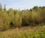 Fieldvisit sept 2017 - vegetation grows on rabatten - credit by Antal Zuurman