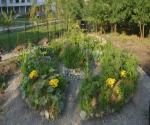 Source: https://bnr.bg/en/post/100473750/the-first-public-organic-garden-in-sofia
