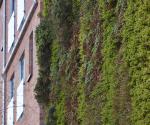 Source: http://staringonstreets.co.uk/location/skainos-centre-vertical-garden/