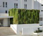 Source: https://www.singulargreen.com/jardin-vertical-en-palma-de-mallorca/