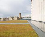 Source: https://www4.ntu.ac.uk/sustainability/biodiversity/Our_campuses/city_site/index.html