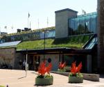 Source: Wildflower Turf Ltd., from James Hewetson-Brown (Managing Director)