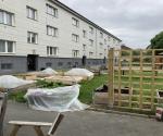 local urban farming project