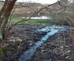 The ditch linking the wetland with the pond