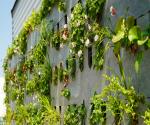 Save Wall Pilot De Groene Plasticfabriek Almere