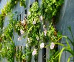 Save Wall Pilot De Groene Plasticfabriek Almere