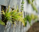 Save Wall Pilot De Groene Plasticfabriek Almere
