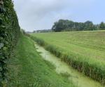 https://zwartewaterland.mapkit.nl/?#maintenance/sewerpipe/c6e8534fadcb442c8c207b494cb8cd95@1896,17,52.6215979,6.0257971