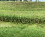 https://zwartewaterland.mapkit.nl/?#maintenance/sewerpipe/c6e8534fadcb442c8c207b494cb8cd95@1896,17,52.6215979,6.0257971