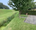 https://zwartewaterland.mapkit.nl/?#maintenance/sewerpipe/c6e8534fadcb442c8c207b494cb8cd95@1896,17,52.6215979,6.0257971