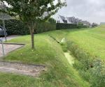 https://zwartewaterland.mapkit.nl/?#maintenance/sewerpipe/c6e8534fadcb442c8c207b494cb8cd95@1896,17,52.6215979,6.0257971