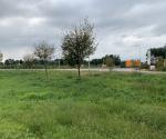 Field visit 15th of september 2021, credit by Antal Zuurman
