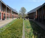 Field visit april 2018 - credit by Antal Zuurman