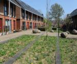 Field visit april 2018 - credit by Antal Zuurman