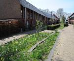 Field visit april 2018 - credit by Antal Zuurman