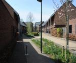 Field visit april 2018 - credit by Antal Zuurman