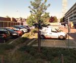 Doorgroeibare verharding en wadi Pijnboomstraat