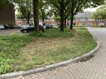 05b After construction street
