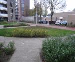 NA Vergroenen Vellingenhoef Tilburg03
