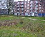 Wadi, verlaagd groen Generaal Smutslaan Tilburg