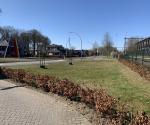 Fieldvisit 27nd of march 2022 - credit by Antal Zuurman