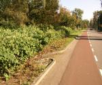 Fieldvisit 29th of september 2011 - credit by Antal Zuurman