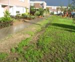 Fieldvisit 29th of august 2006, after rain - credit by Antal Zuurman