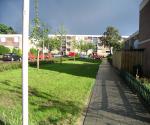 Fieldvisit 29th of august 2006, after rain - credit by Antal Zuurman
