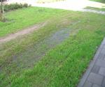 Fieldvisit 29th of august 2006, after rain - credit by Antal Zuurman