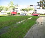 Fieldvisit 29th of august 2006, after rain - credit by Antal Zuurman