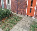 Afgekoppelde regenpijp, molgoot, Kerkstraat Berkel-Enschot02