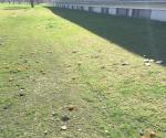 Vervuiling wadi en inspectie instroming apr 2018 - credit by Antal Zuurman