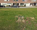 Vervuiling wadi en inspectie instroming apr 2018 - credit by Antal Zuurman