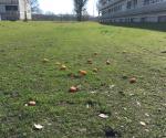 Vervuiling wadi en inspectie instroming apr 2018 - credit by Antal Zuurman