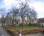 Voor reconstructie 2006 - credit by municipality of Nijmegen