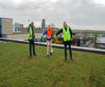 Opening Detentiedak door wethouder Bunnik