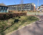 Fieldvisit 27nd of march 2022 - credit by Antal Zuurman