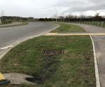 Swale