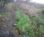 Swale