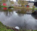Pond