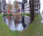 Pond panorama