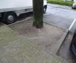 Treepit